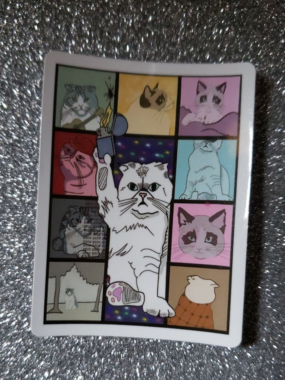 10/$10 Taylor Swift Waterproof Sticker cat
